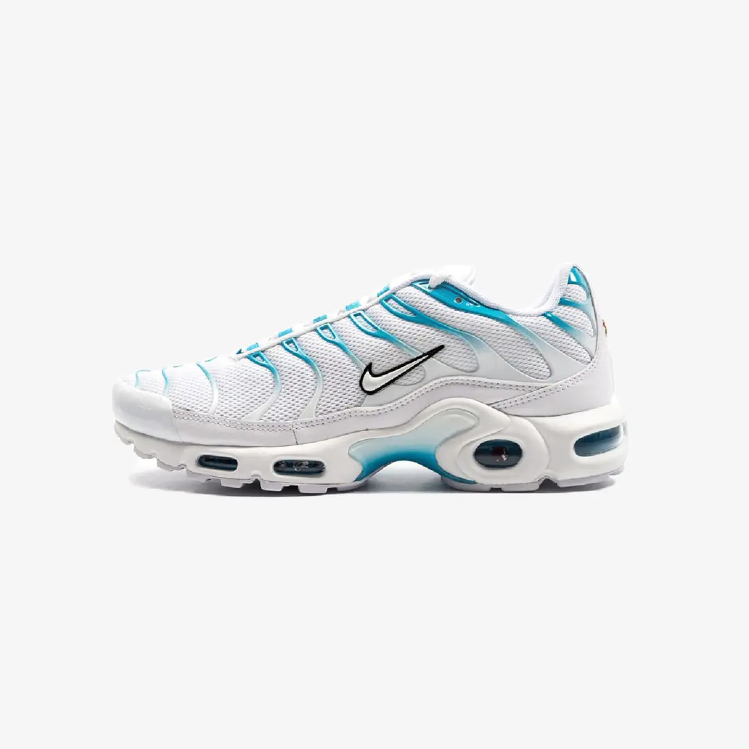 Air Max Plus TN "Blue Fury" (Beden: 46)